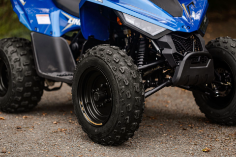 ATV 110cc Linhai, ATV pentru Copii, Premium, 110cc, injectie, 45km/h, atv copii, Albastru [3]