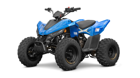 ATV-uri pe Benzina pentru Copii - ATV 110cc Linhai, ATV pentru Copii, Premium, 110cc, injectie, 45km/h, atv copii, Albastru