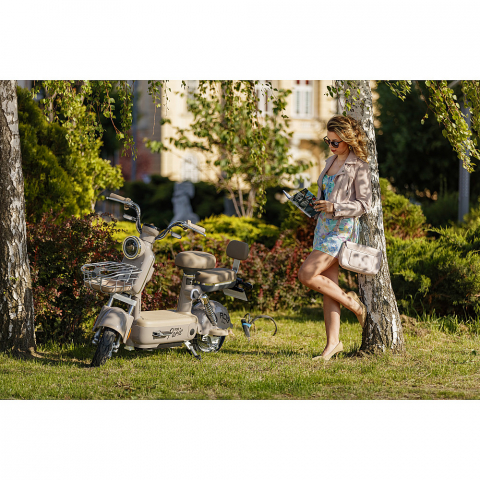 Scuter Electric PARIS, 600W, fara permis, 48V 20Ah, 25km/h, Blue [1]