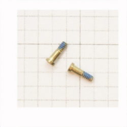 Diverse - Set suruburi iPhone 6 Gold