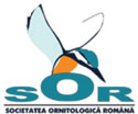 Sor