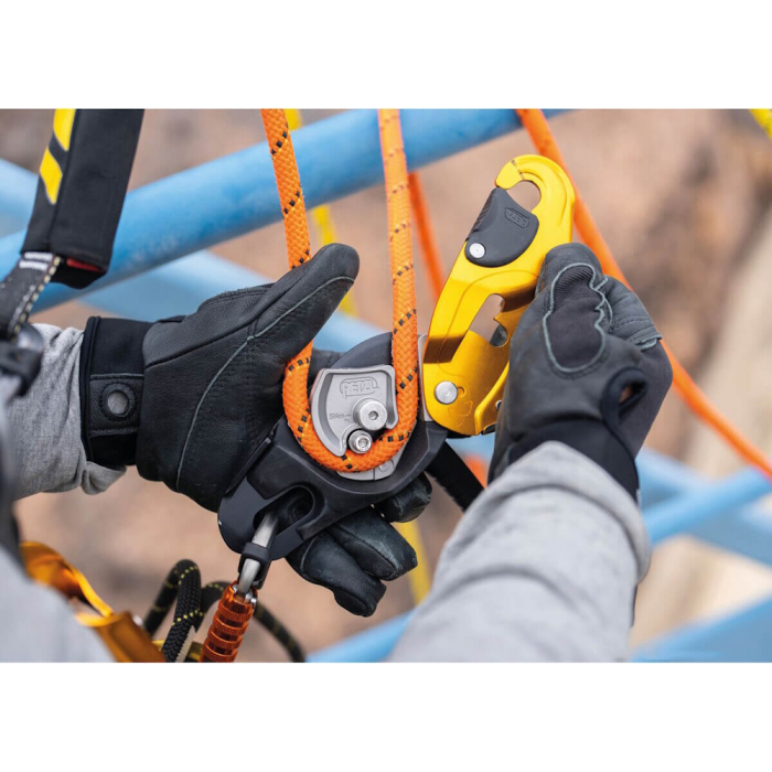 Coborator Petzl Rig [5]