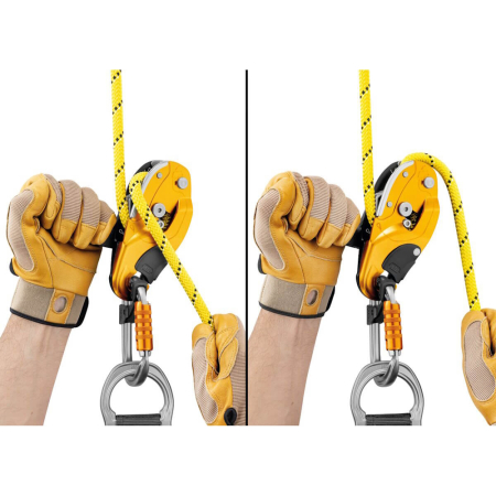 Coborator Petzl Rig [3]