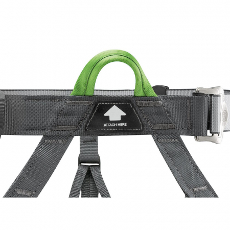Ham Petzl Panji [2]