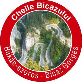 Magnet frigider cu deschizator NN [14]