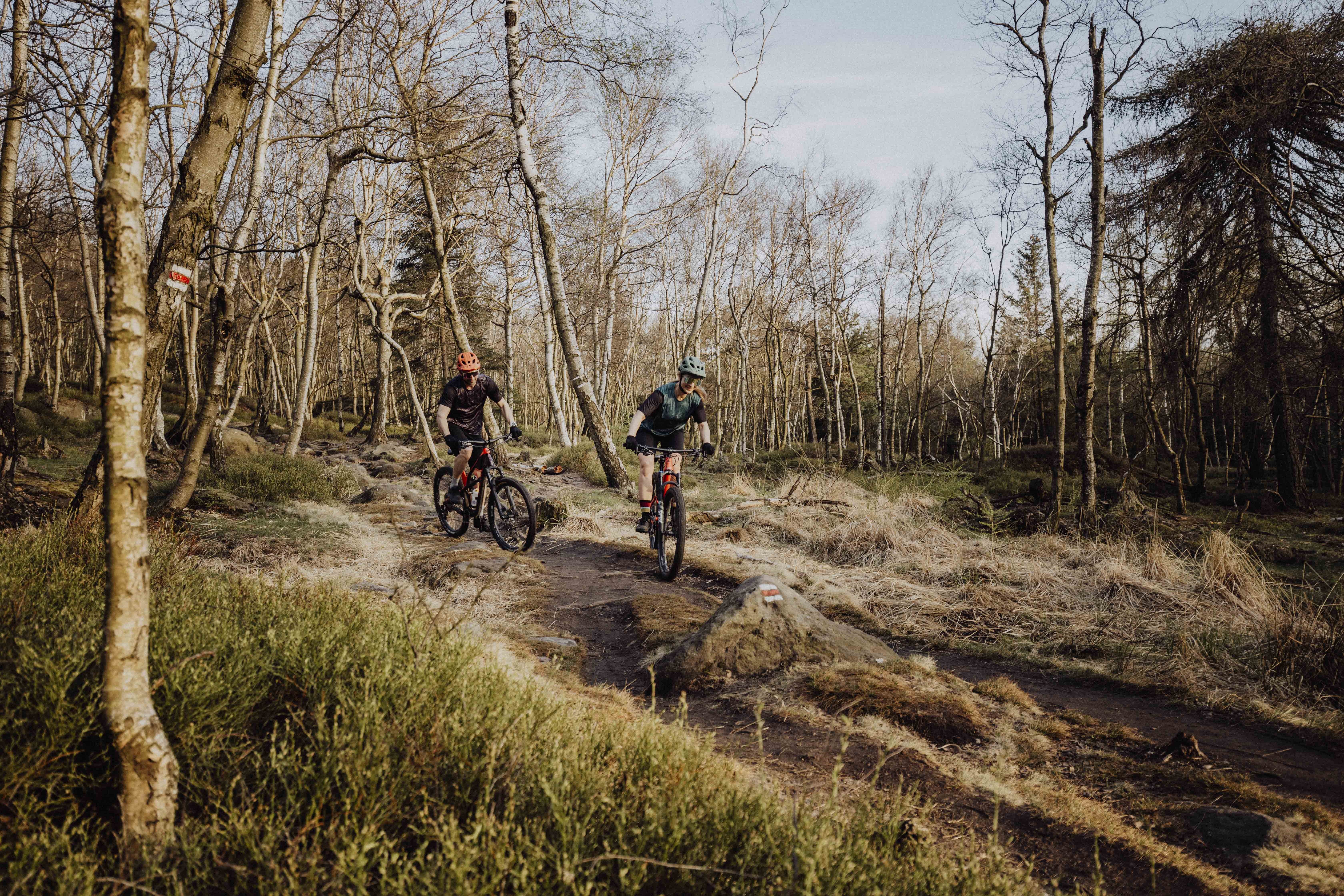 Casca Force IBEX MTB, Orange Matt S-M (55-59 cm) [8]