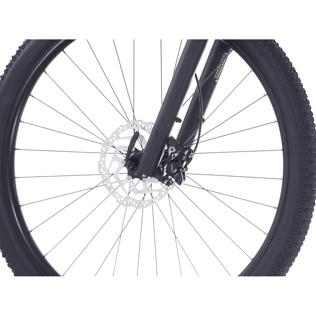 Bicicleta Rock Machine Blizz 20 29" Matte Sand 48cm - (L) [2]