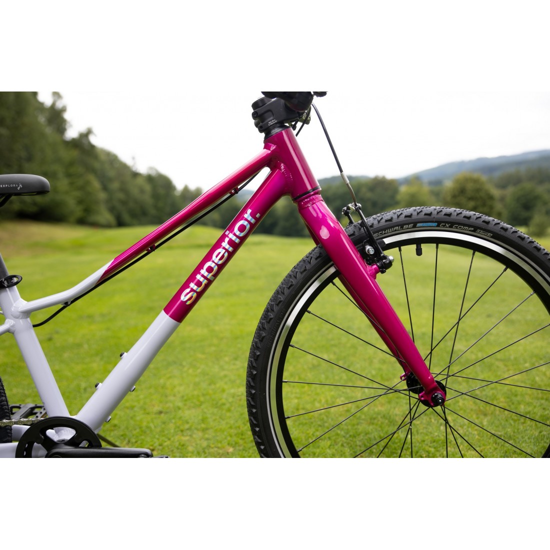 Bicicleta Superior F.L.Y. 24 VB Gloss Purple [4]