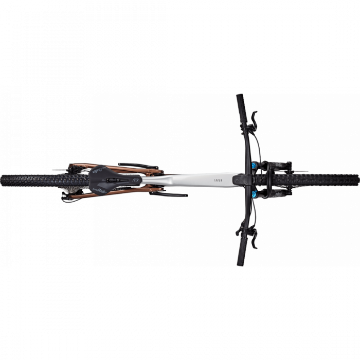 Bicicleta Focus Thron 6.9 29 Nepal Silver/Platinum Bronze - XL(47cm) [3]