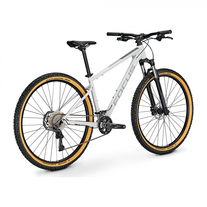 Bicicleta MTB Focus Whistler 3.8 29 Grey 46cm (L) [2]