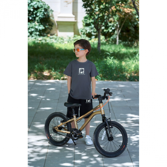 Bicicleta Royal Baby Kable-Belt, 16 inch, Auriu [8]