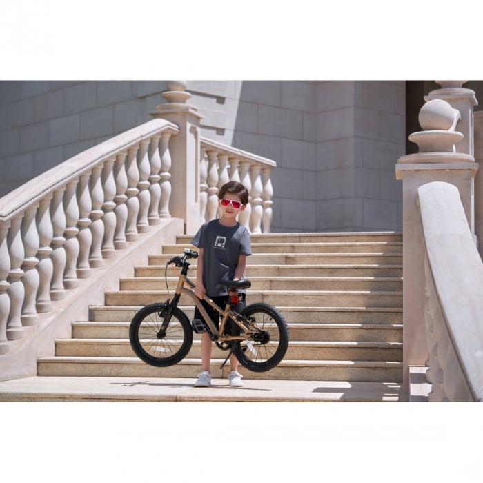Bicicleta Royal Baby Kable-Belt, 16 inch, Auriu [9]
