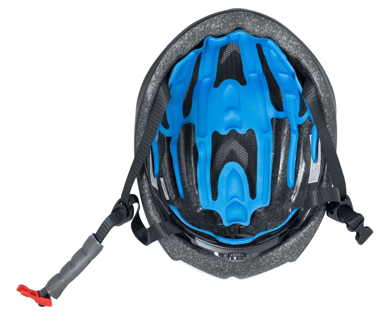 Casca Force Rex negru/albastru S/M [5]