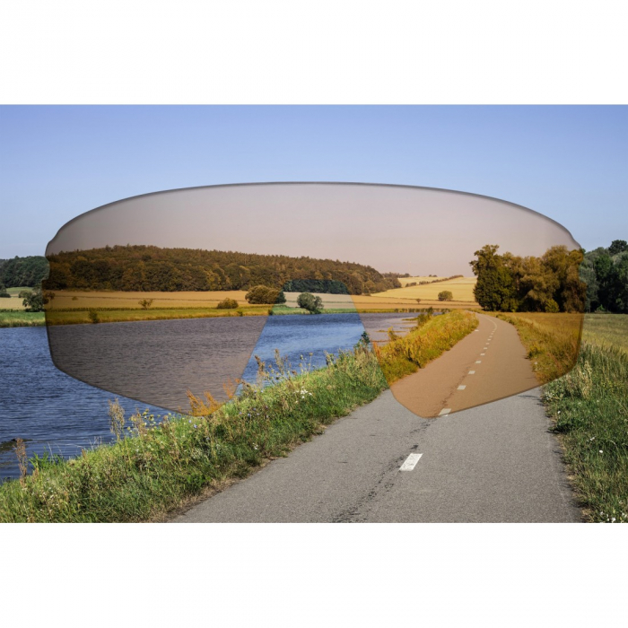 Ochelari Force Electra, negru/maro [4]
