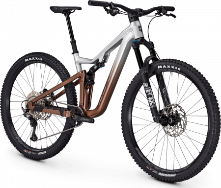 Bicicleta Focus Thron 6.9 29 Nepal Silver/Platinum Bronze - M (42cm) [1]