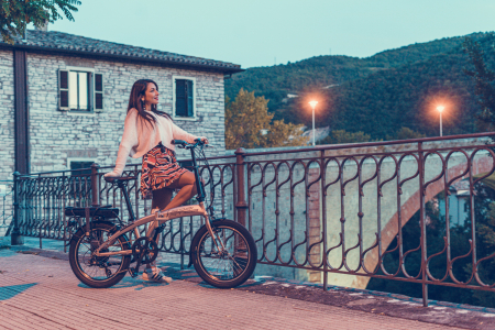Bicicleta pliabila Adriatica Smile 20 6V Gri [3]