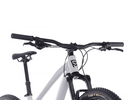 Bicicleta Rock Machine Blizz 30 29 Gloss Limerock Grey 19.0 - (L) [1]