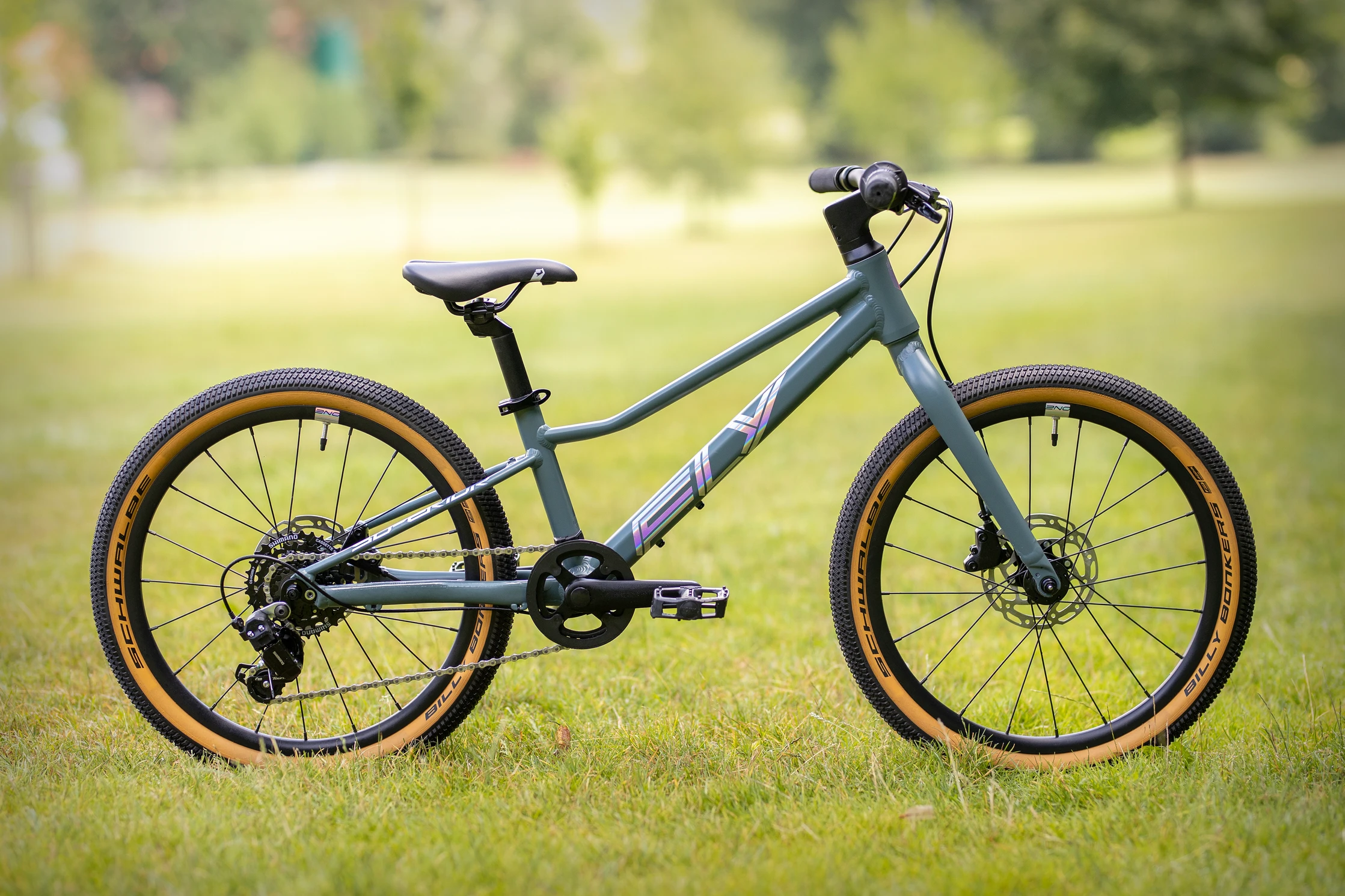 Bicicleta Superior FLY 20 DB Matte Trooper Green/Hologram Chrome [1]