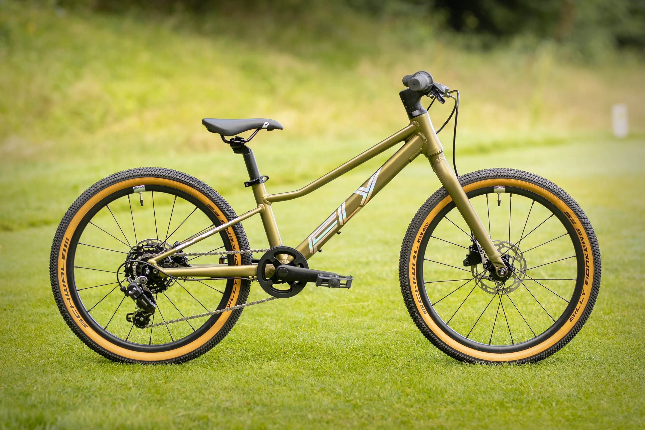 Bicicleta Superior FLY 20 DB Matte Olive Metallic/Hologram Chrome [1]