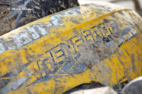 renegade