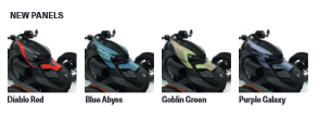 2024 RYKER SPORT [5]