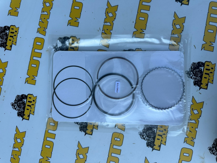 SEGMENTI G2 - 1000 [3]