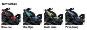 2024 RYKER RALLY [4]