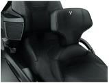 Accesorii CAN AM - Adjustable Driver Backrest