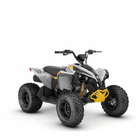 Renegade - RENEGADE 110 EFI XXC MY23