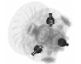 Accesorii CAN AM - Torque Roller Maintenance Set
