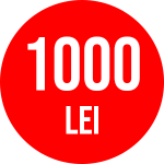 1000 lei