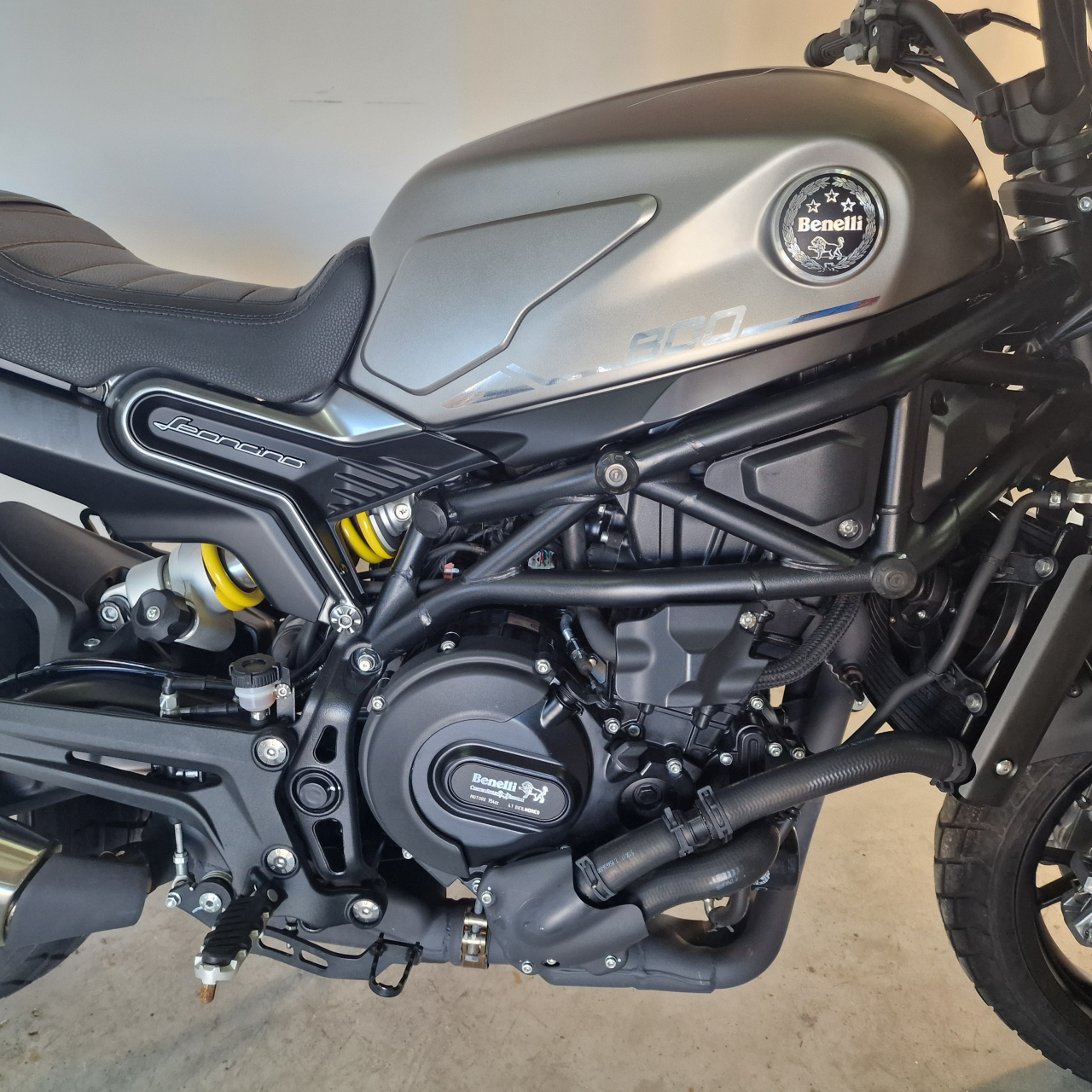 Benelli Leoncino 800 ABS | An 2022 | BN88340 [4]