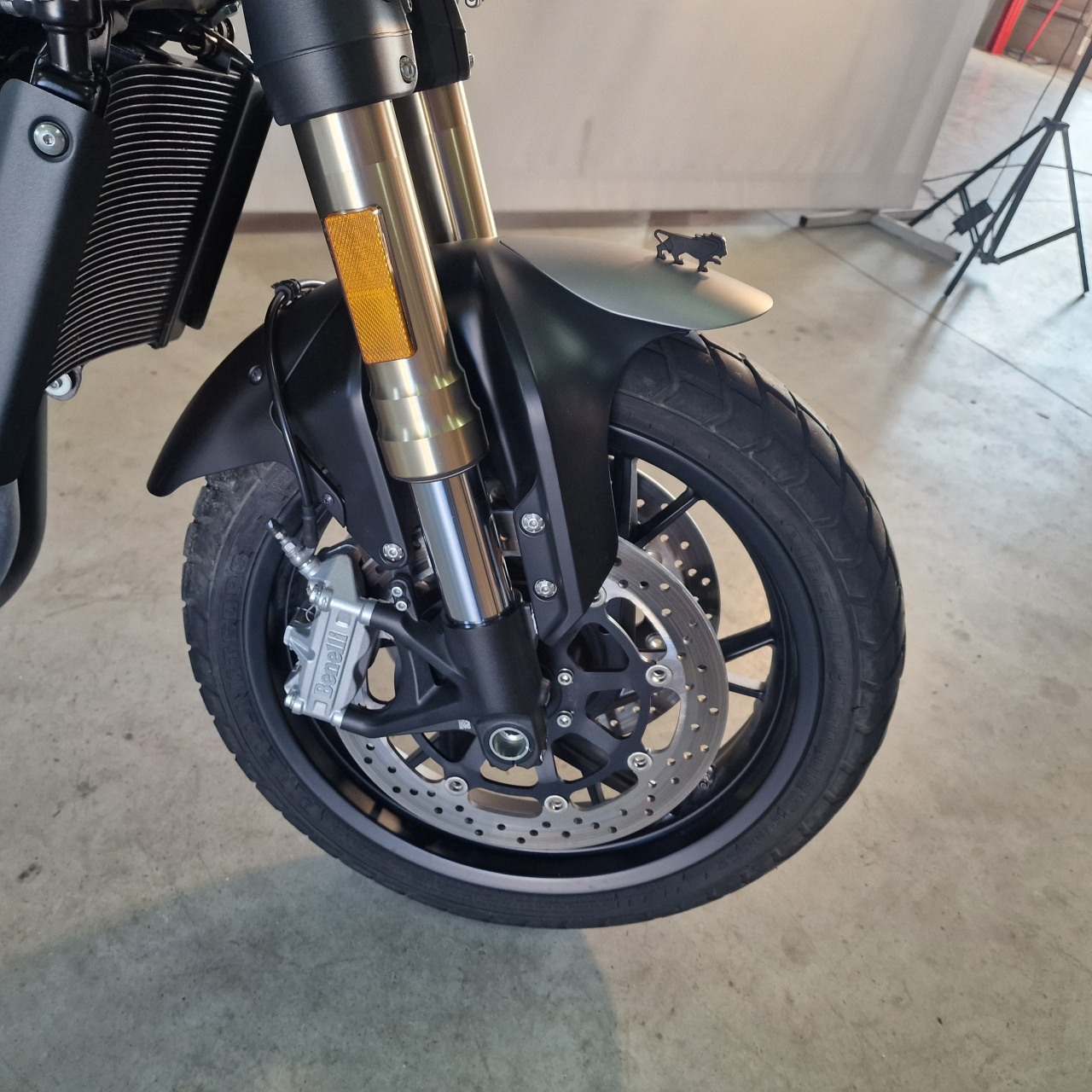 Benelli Leoncino 800 ABS | An 2022 | BN88340 [5]