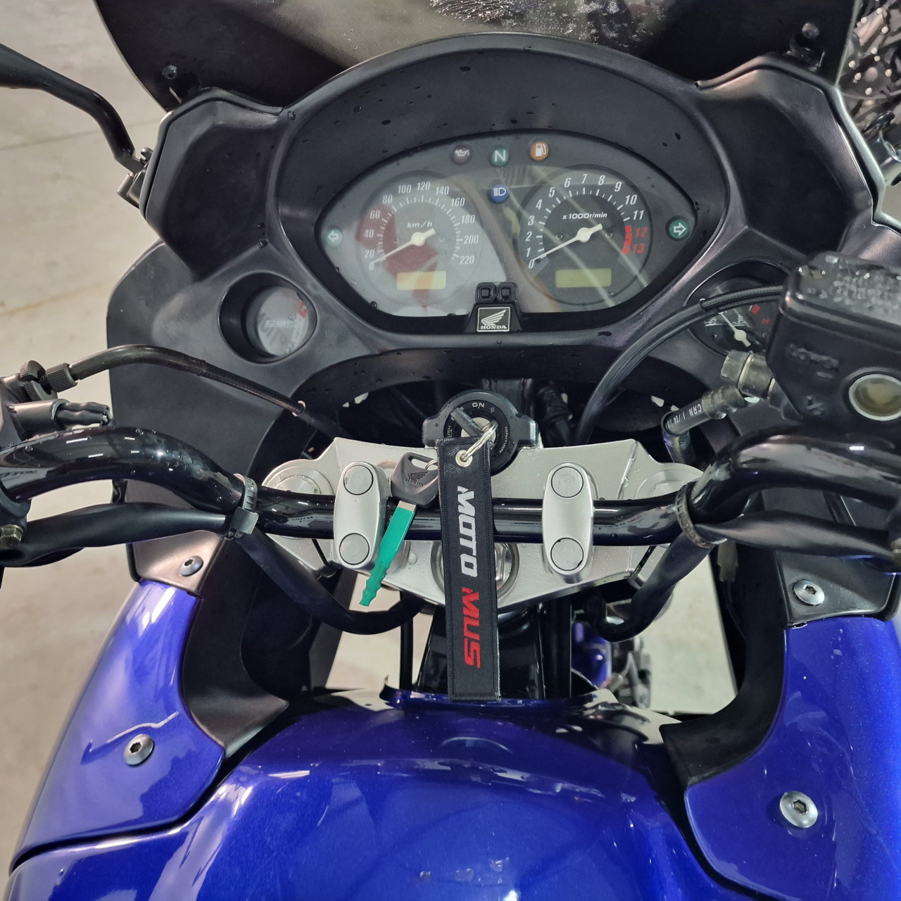 Honda CBF 600 | An 2004 | H11643 [6]