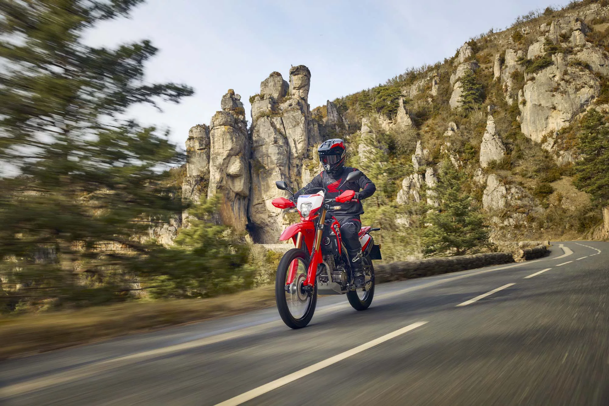 Honda CRF 300 L [5]