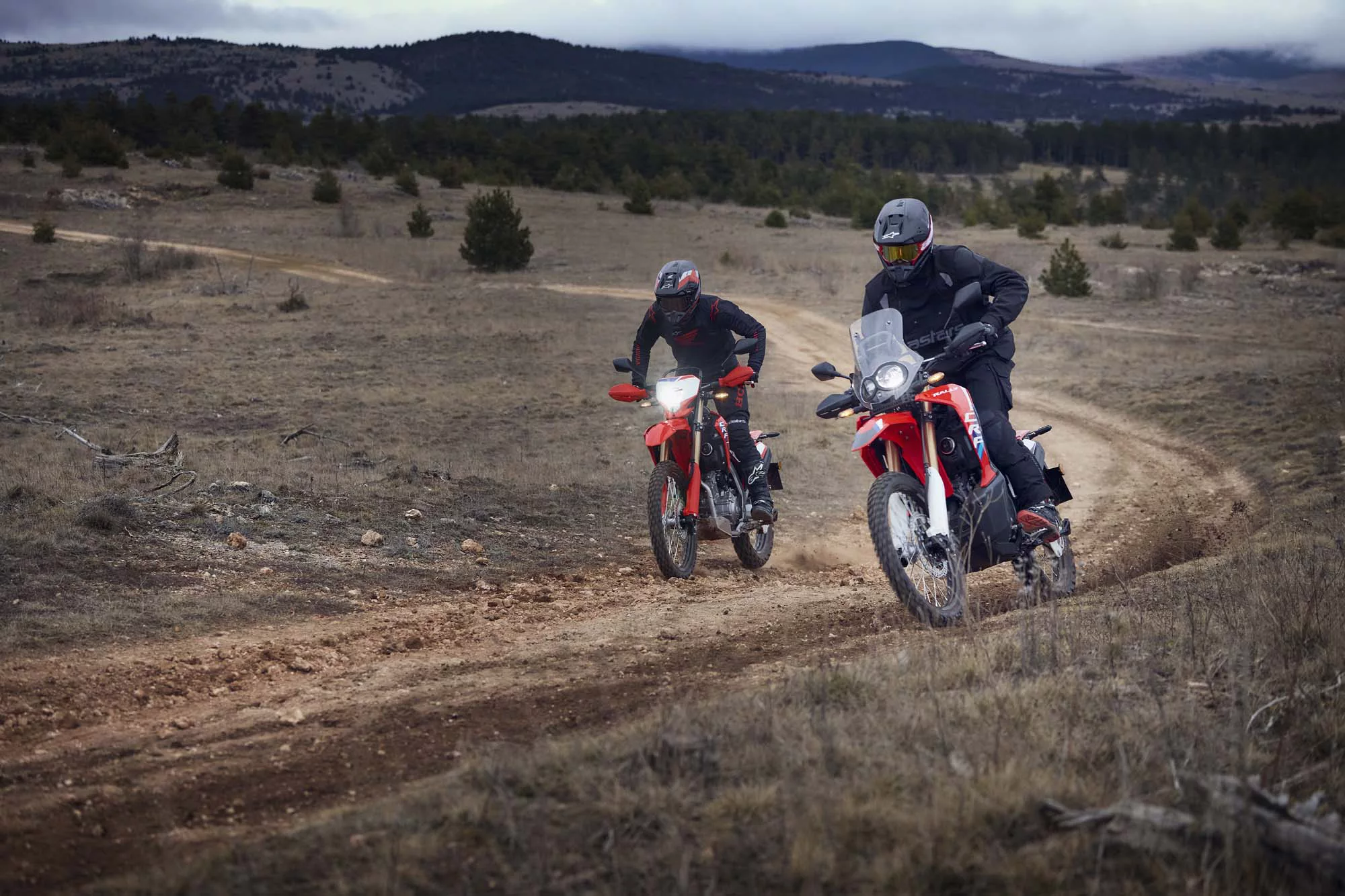 Honda CRF 300 L [8]