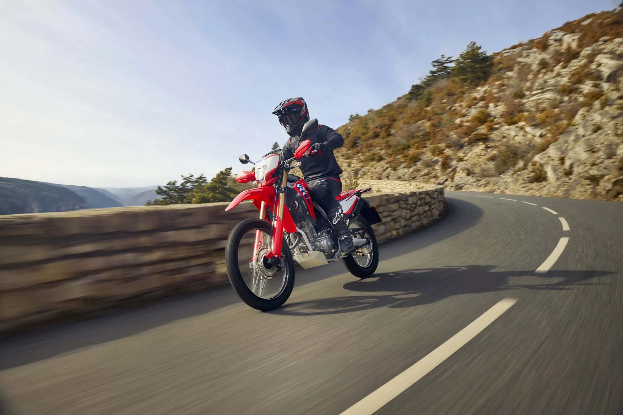 Honda CRF 300 L [4]