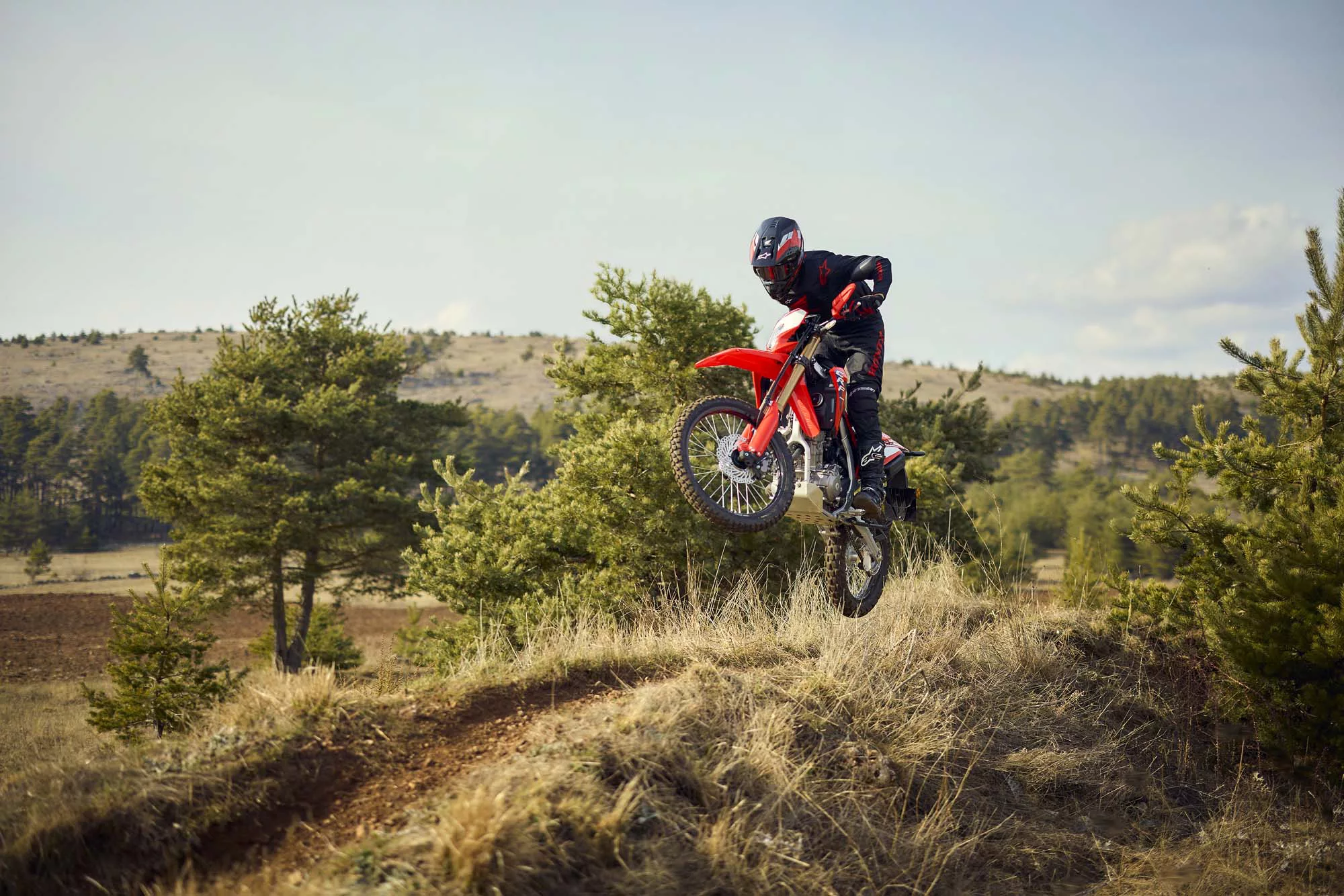 Honda CRF 300 L [3]