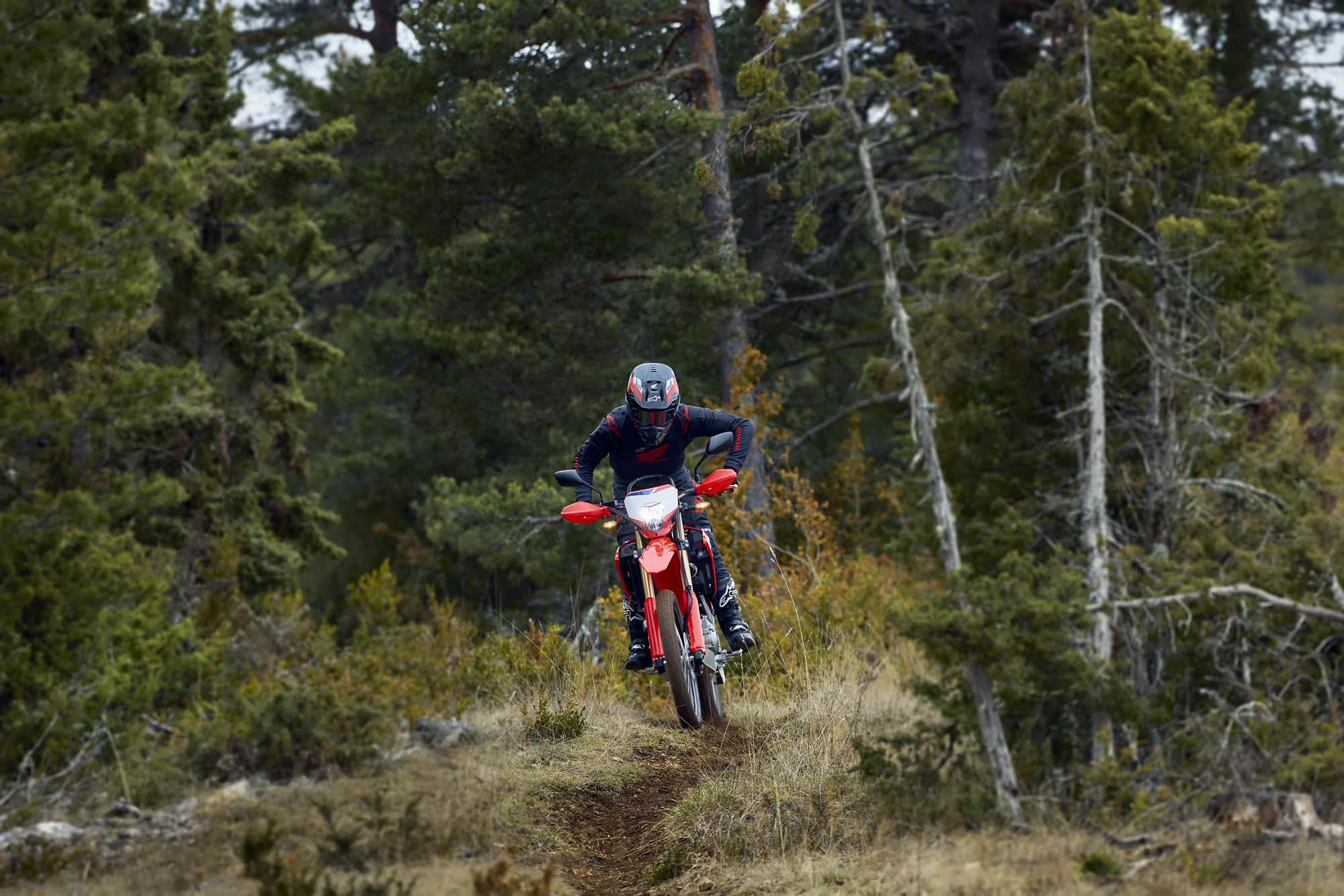 Honda CRF 300 L [2]