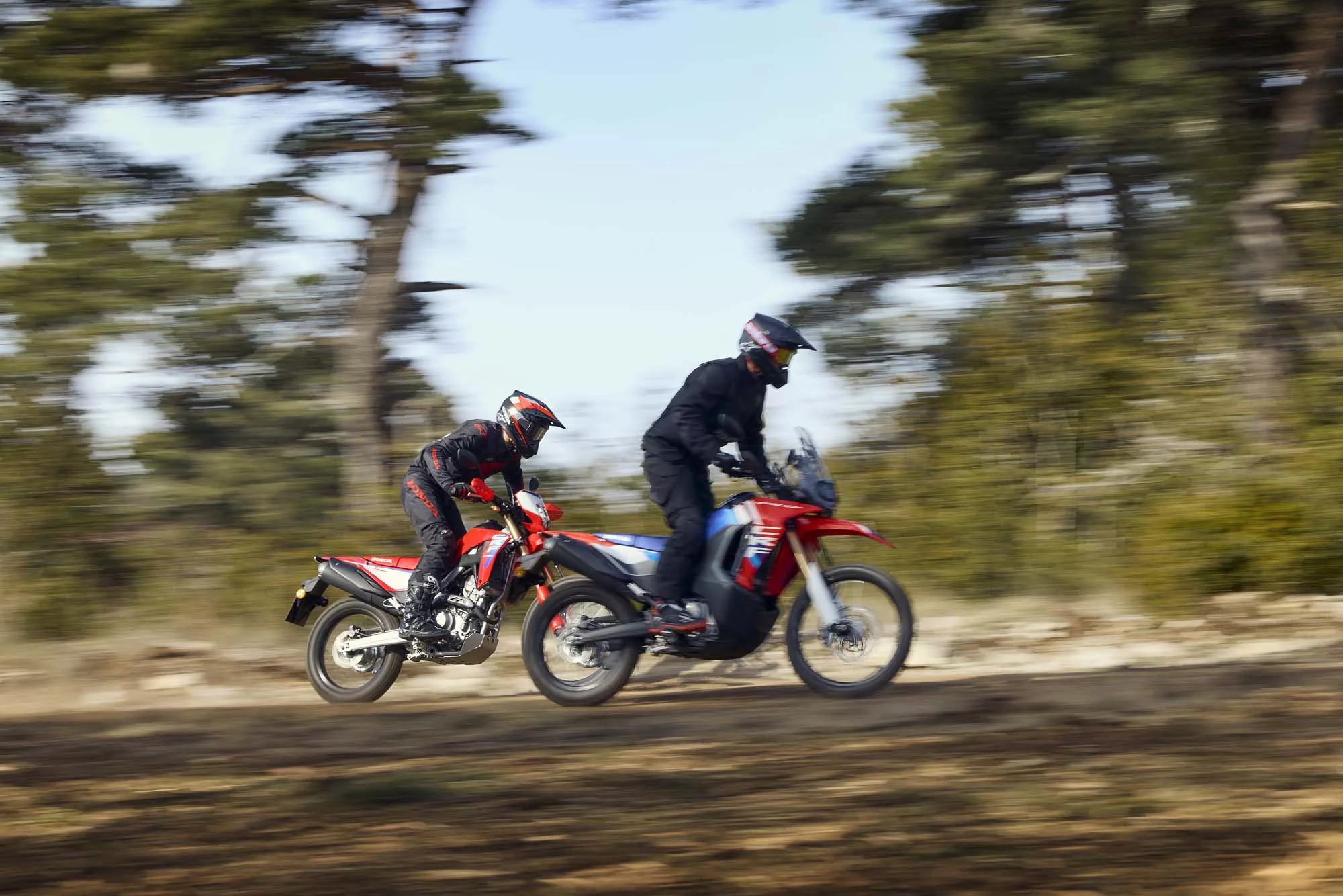 Honda CRF 300 L [10]