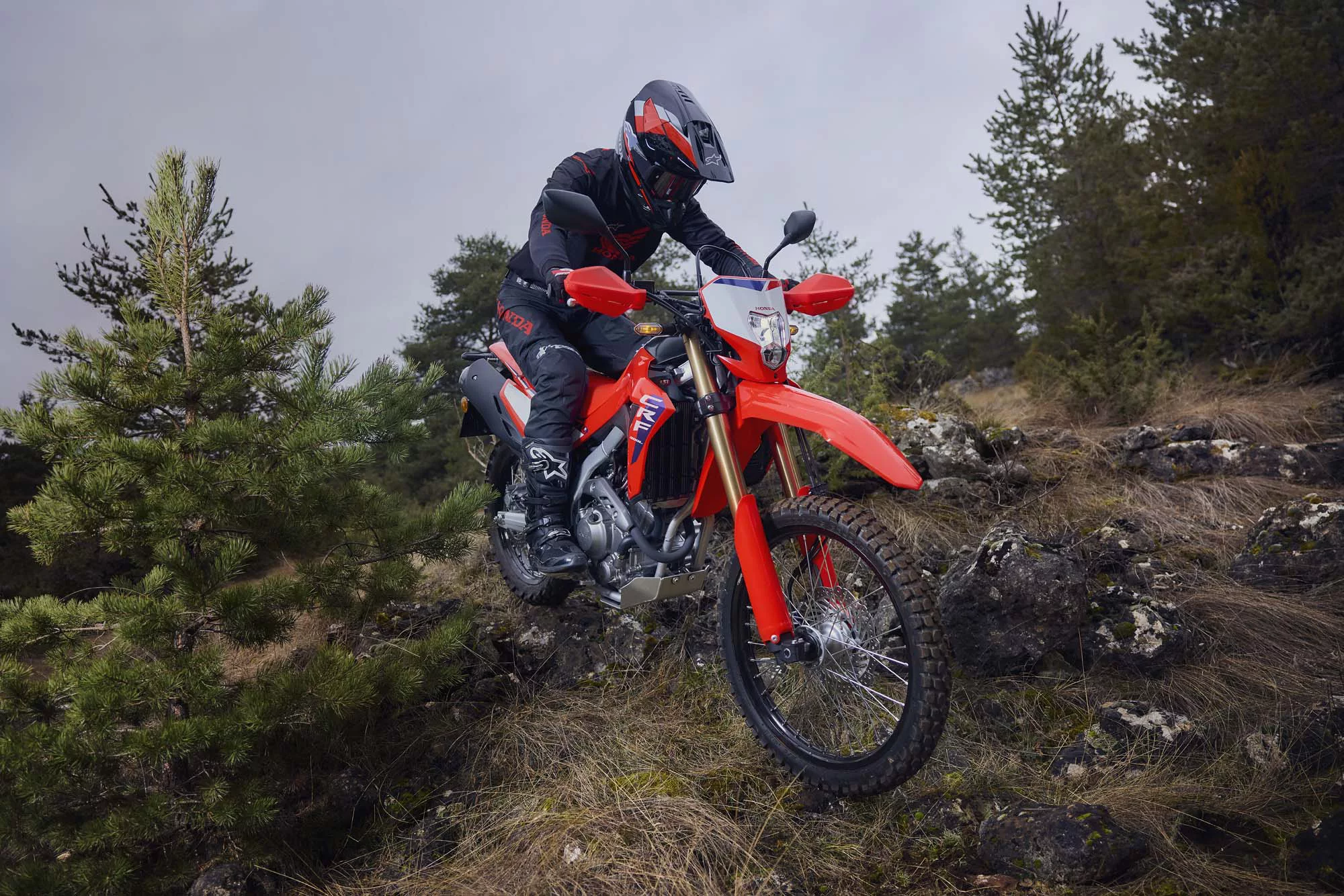 Honda CRF 300 L [7]