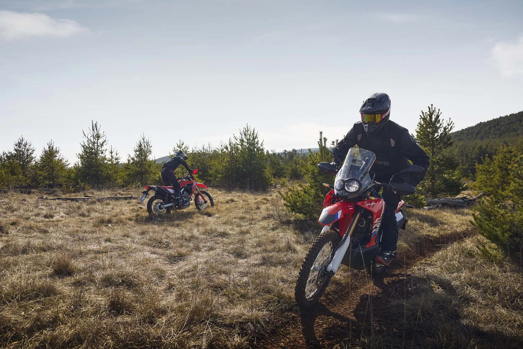 Honda CRF 300 L [9]