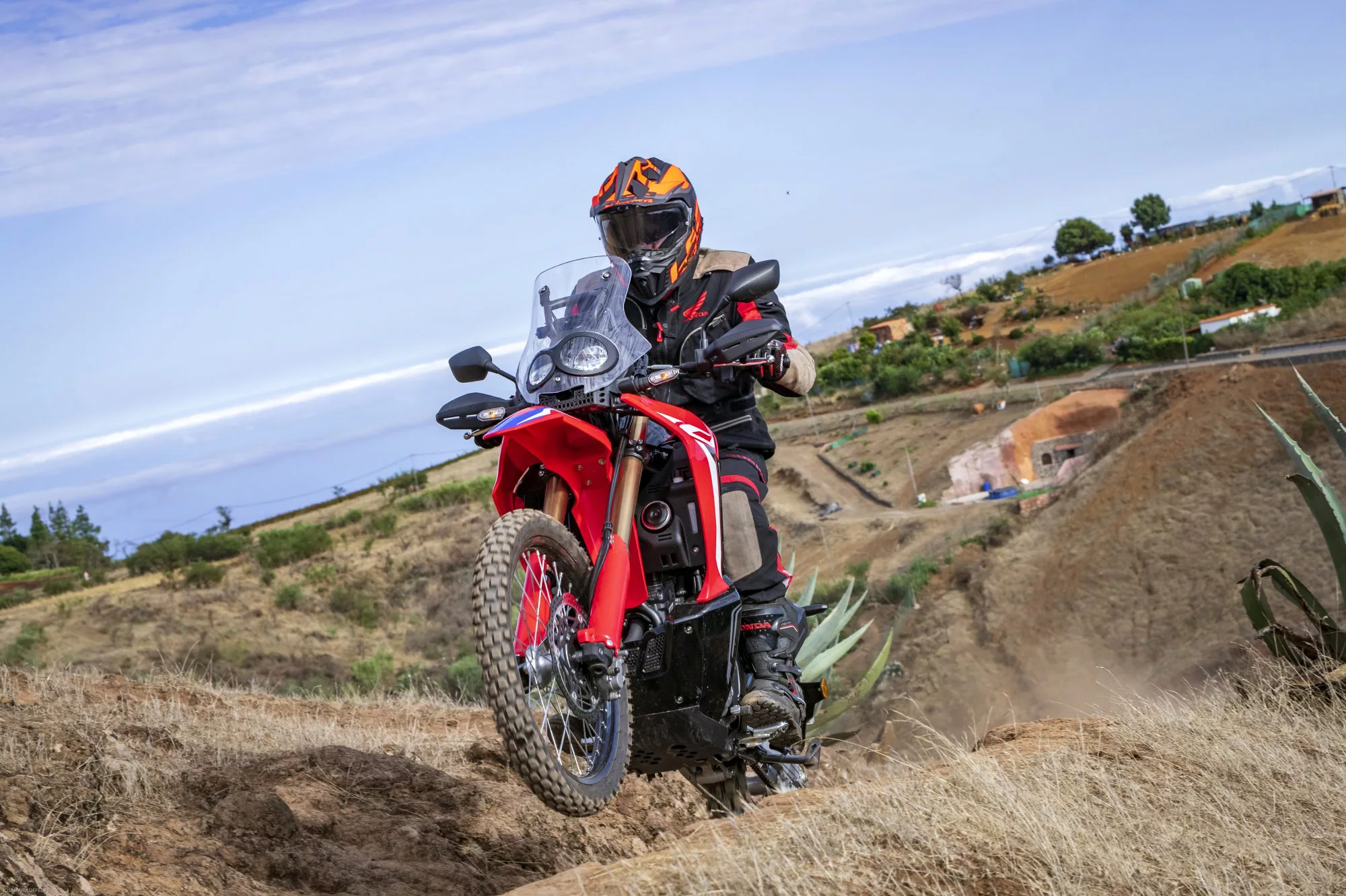 Honda CRF 300 Rally [10]