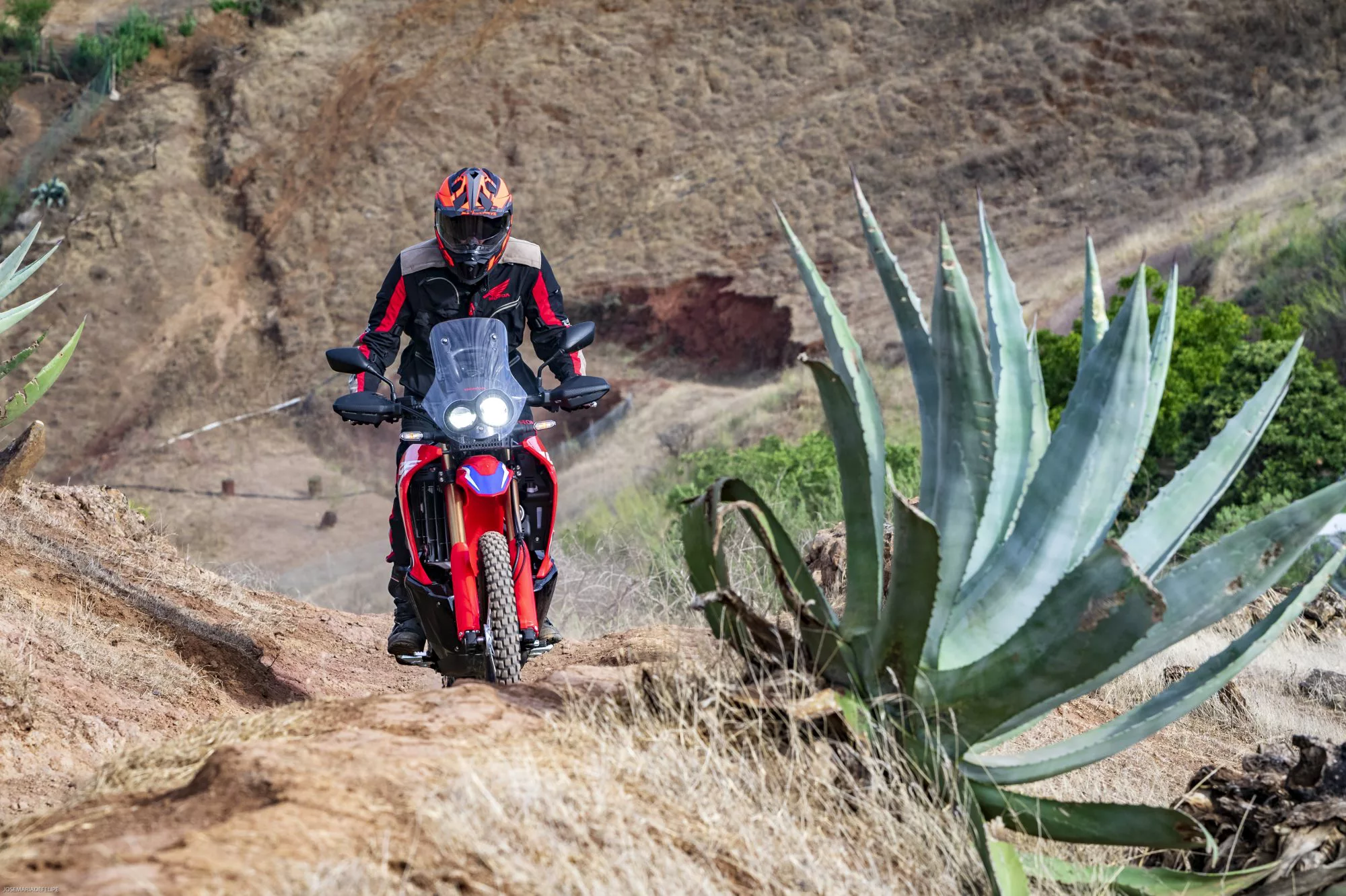 Honda CRF 300 Rally [9]