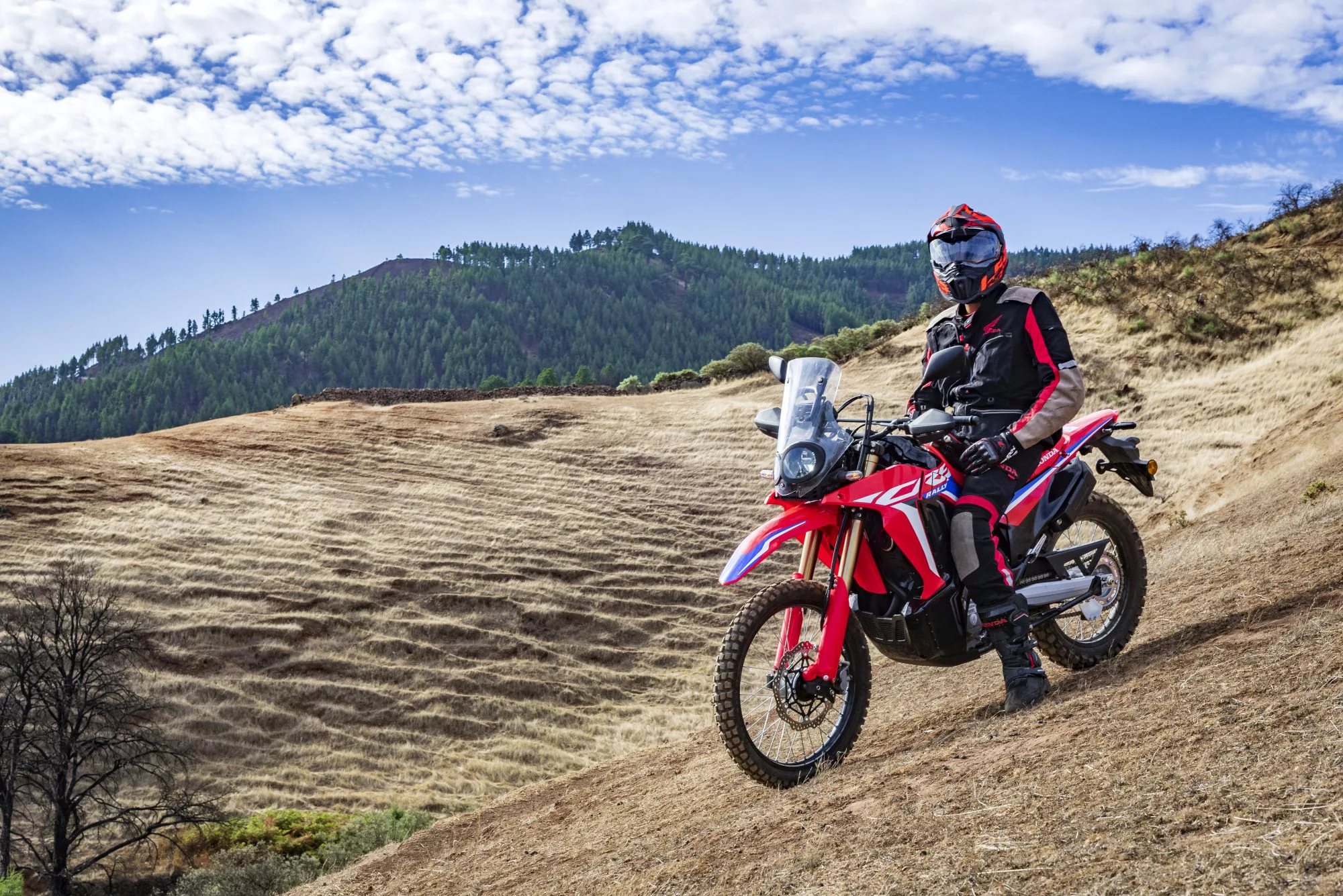 Honda CRF 300 Rally [12]