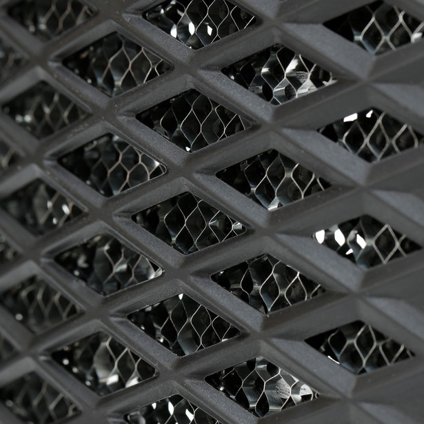 Protectie spate Dainese Pro-Speed Back [5]