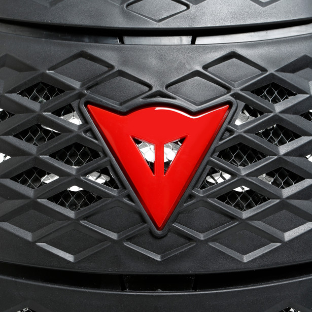 Protectie spate Dainese Pro-Speed Back [7]