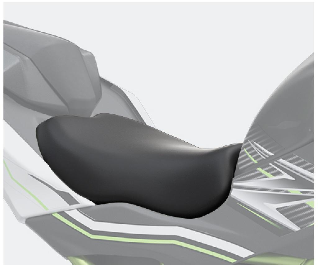 Sa joasa Kawasaki [1]