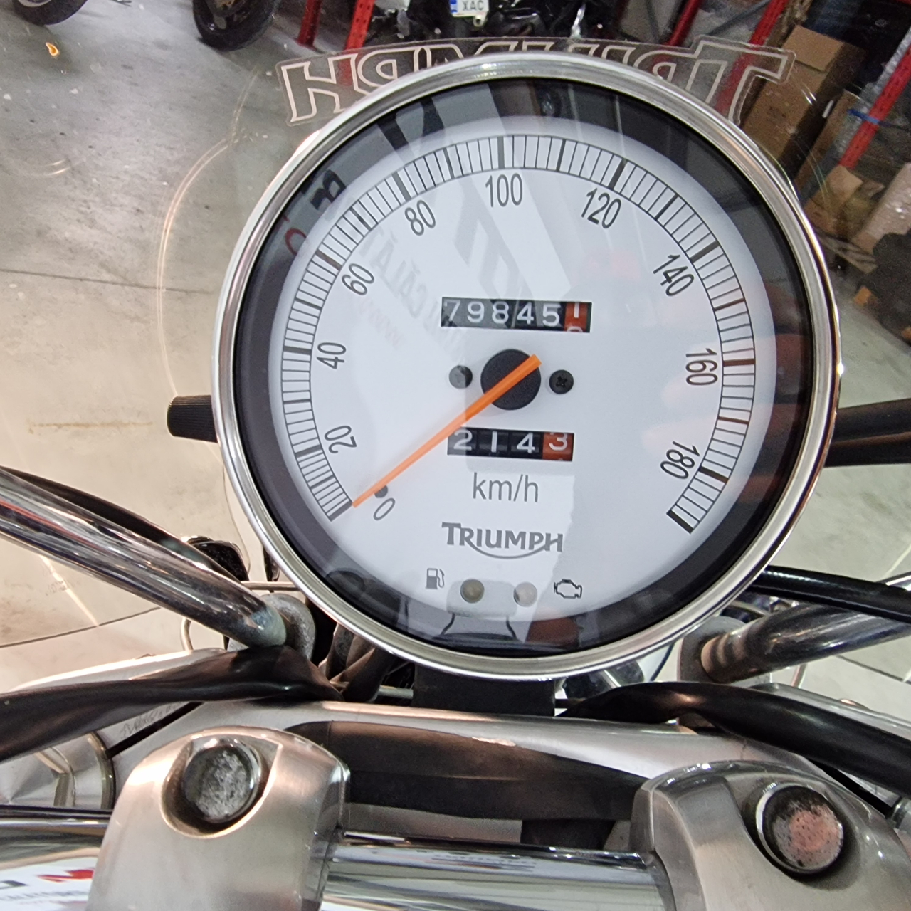 Triumph America | An 2008 | T41982 [6]