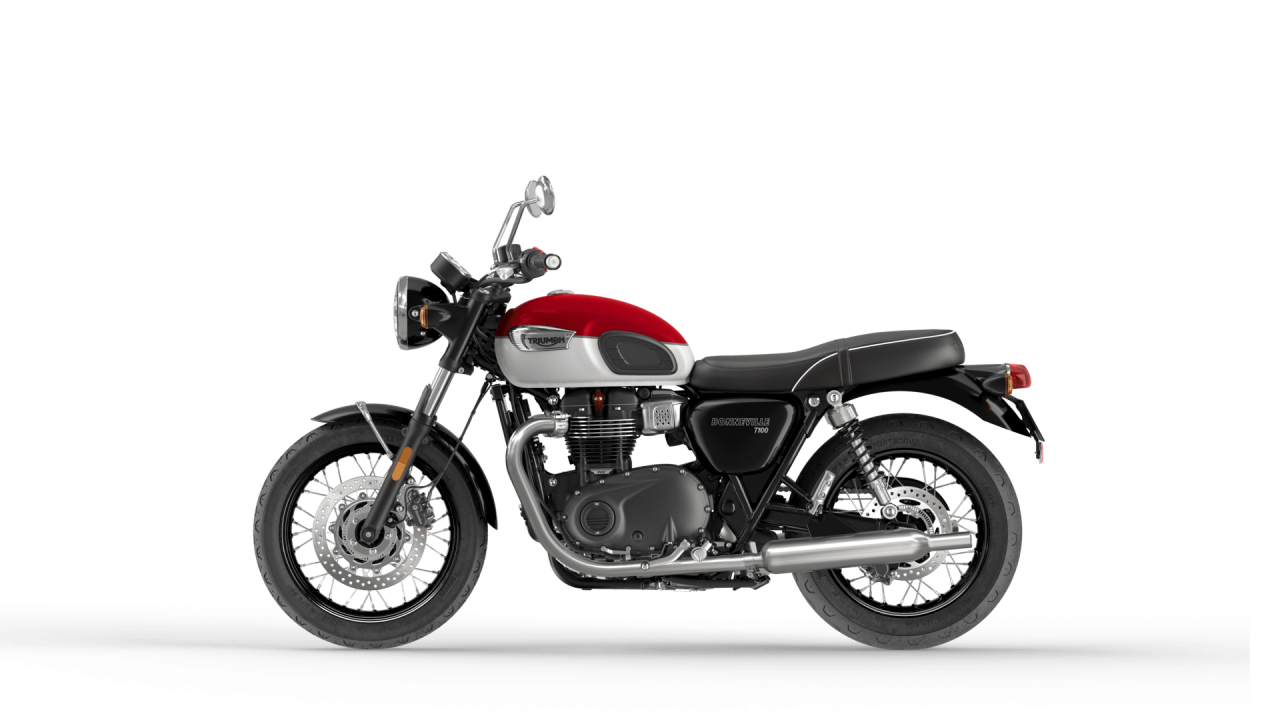 Triumph Bonneville T100 [2]